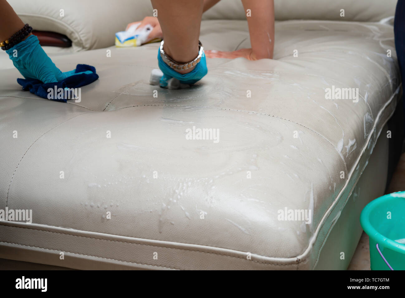 ladies cleaning leather sofa with soapy sponge Stock Photo Alamy