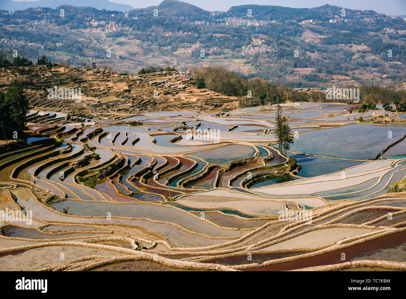 Beautiful red land terraces Stock Photo