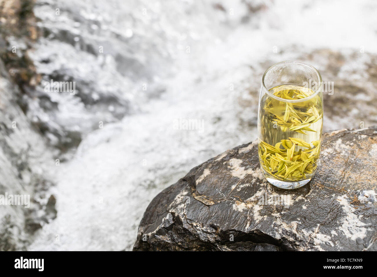 Garden angelica tea hires stock photography and images Alamy