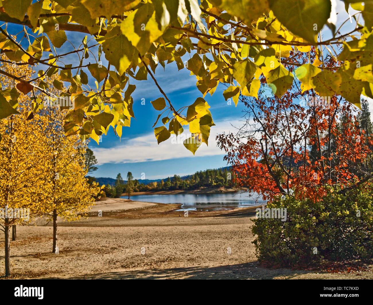 Fall foliage in Northern California. Whiskeytown Lake, Shasta County