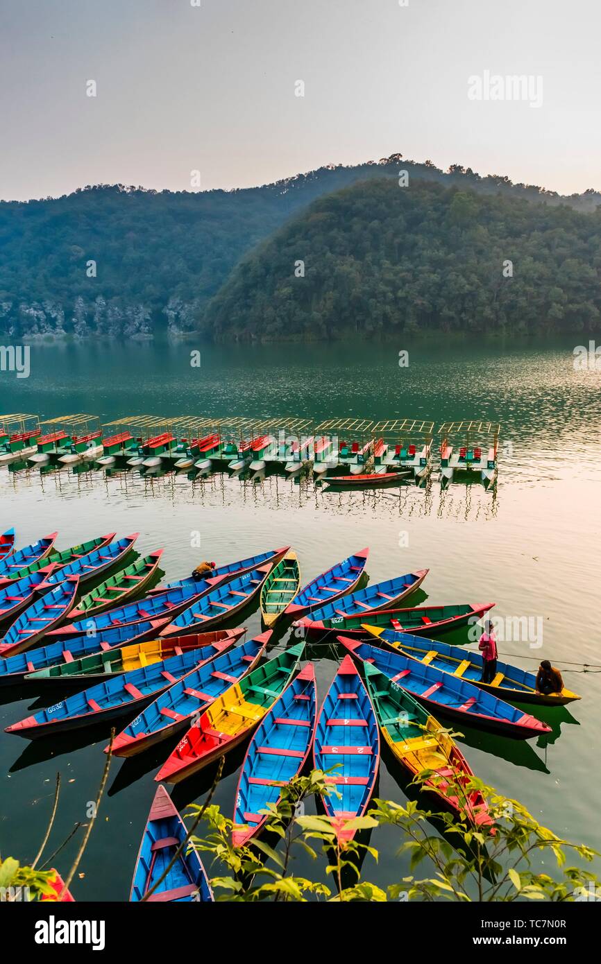 Rowboats, Phewa Lake, Pokhara, Nepal. Stock Photo