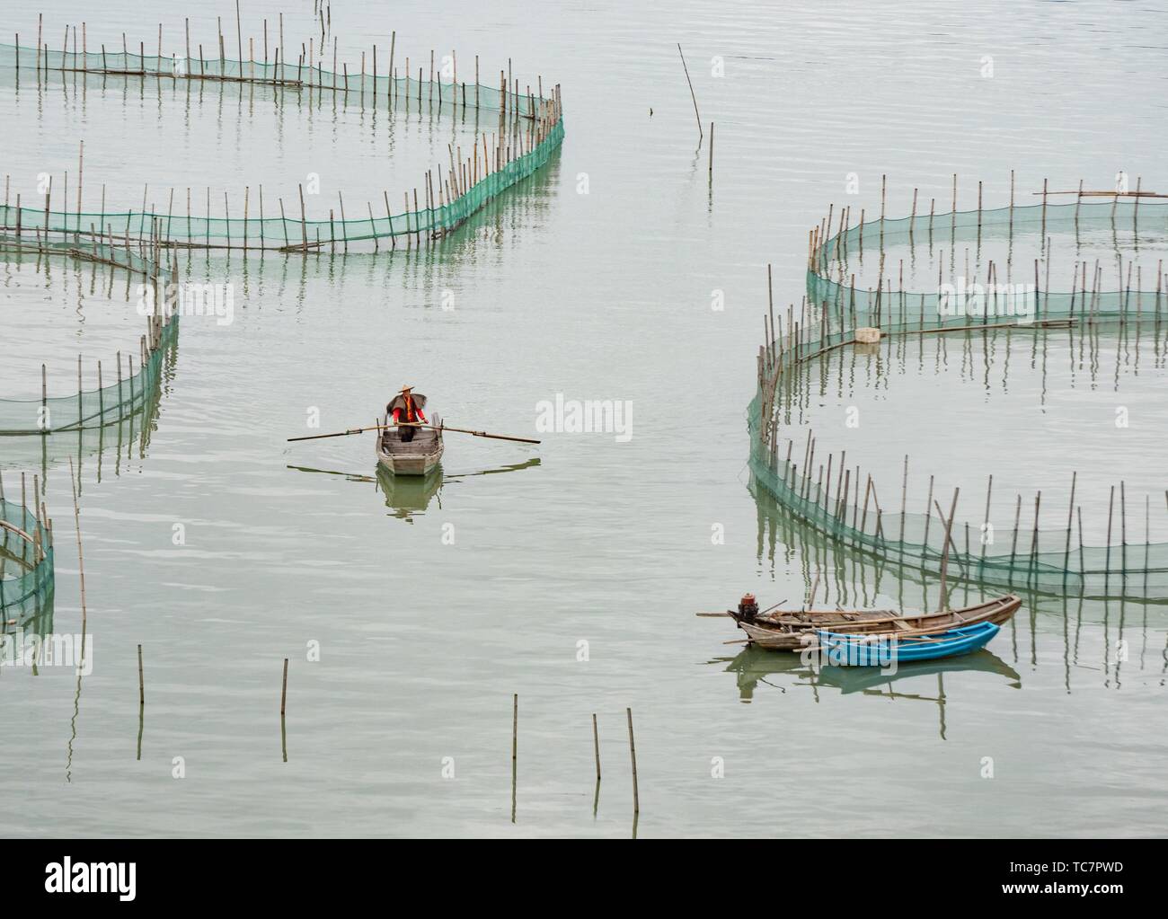 China Xiapu Fishing. Stock Photo