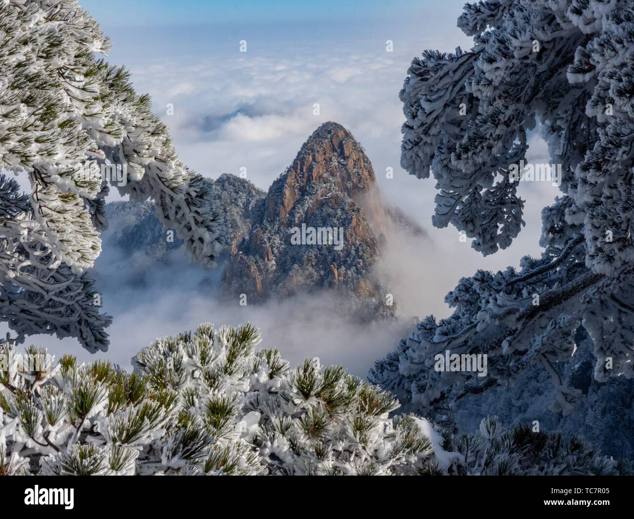 China Yellow Mountains. Stock Photo