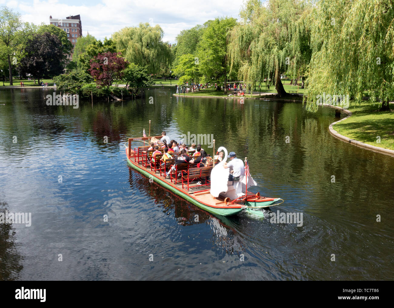 Lagoon with Swan boat and in Boston Public Garden adjacent to Boston Common, part of the Emerald Necklace group of parks by Frederick Law Olmstead Stock Photo
