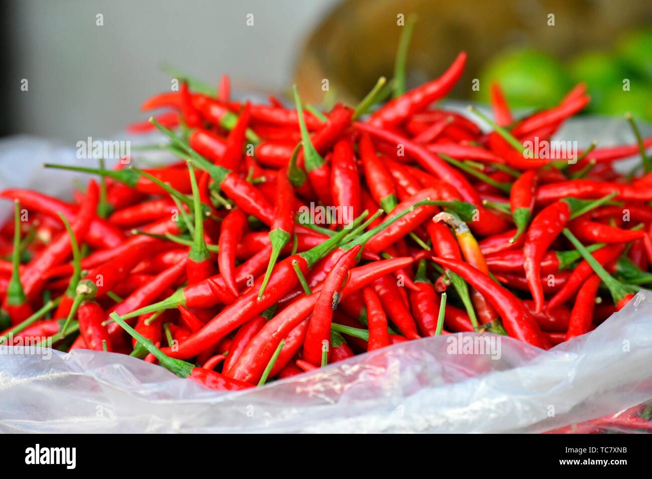 Red hot chili peppers, market,Phnom Penh,Cambodia,South east Asia Stock
