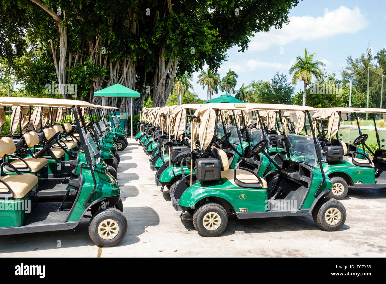 Miami Beach Florida,Normandy Shores Public Golf Club Course,electric cart carts,FL190430078 Stock Photo