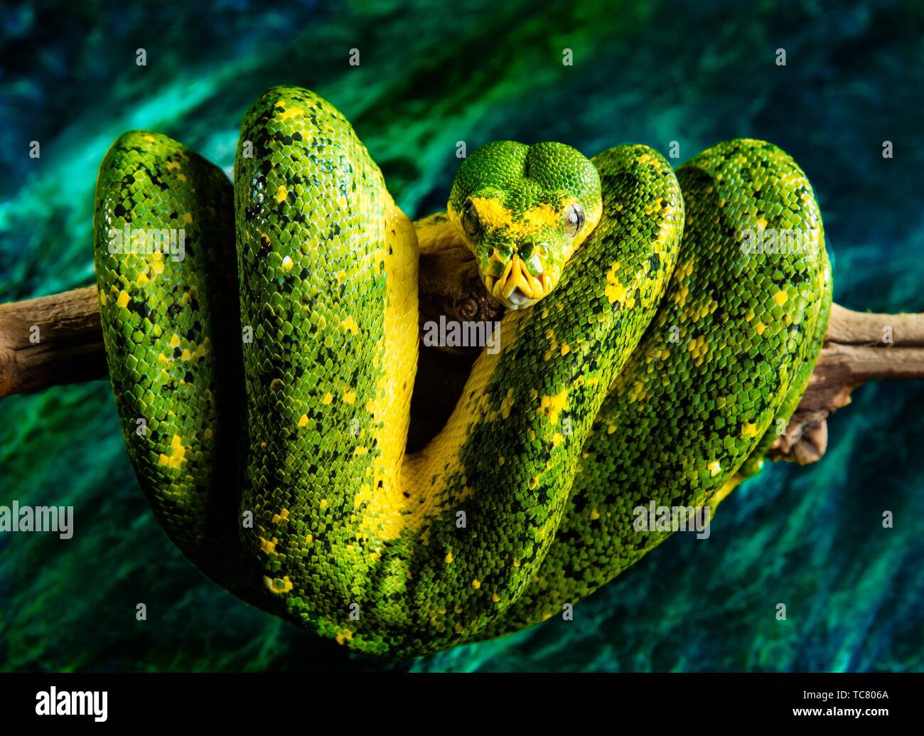 Turqouis water hi-res stock photography and images - Alamy