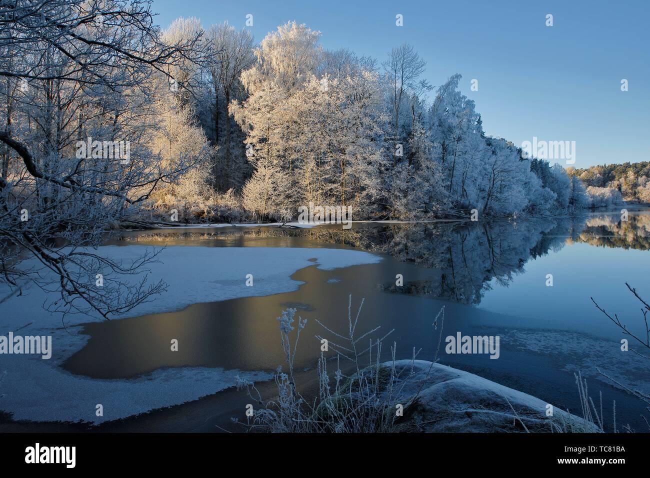 Winter landscape with frost. Botlyrka Sodermanland Sweden Stock Photo