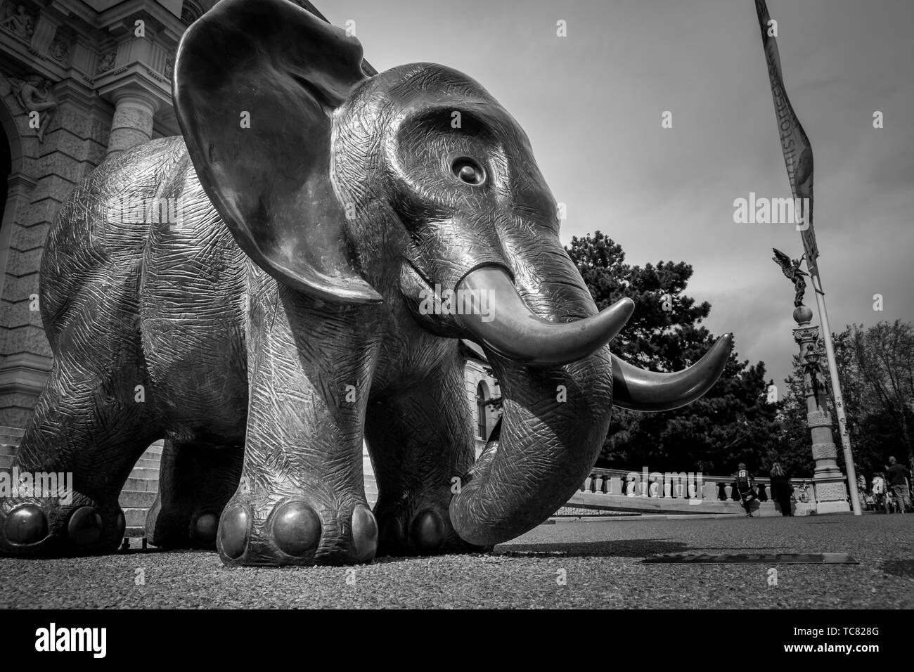 Elephant in vienna museum natural hires stock photography and images