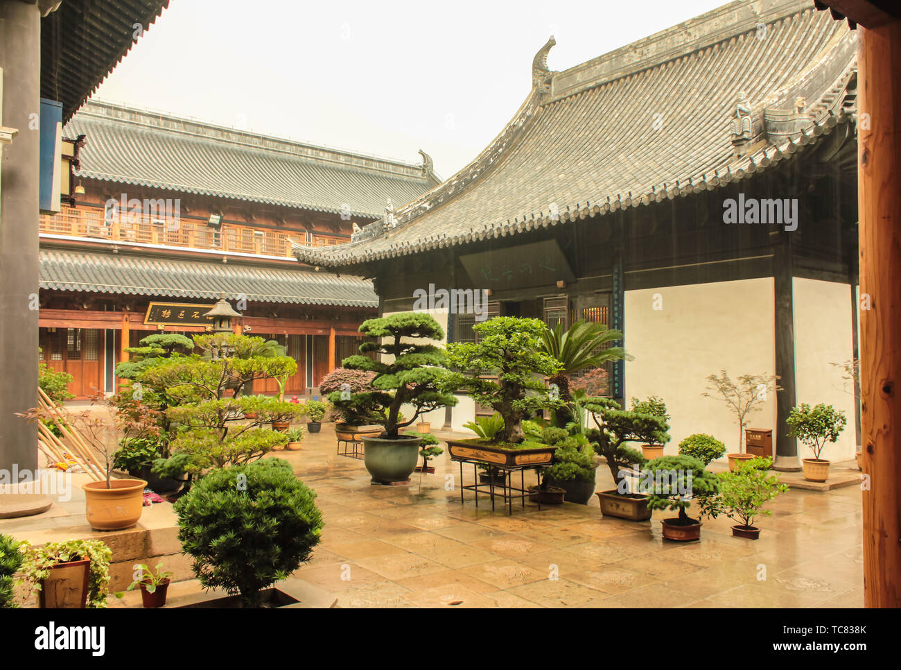 Shanghai Zhenru Temple Stock Photo Alamy