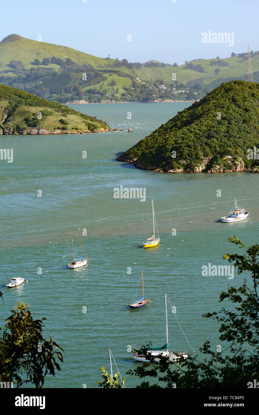 Port Chalmers, New Zealand Stock Photo Alamy