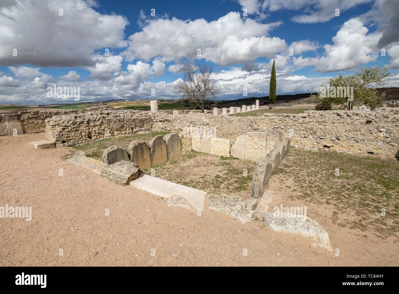 Termas Monumentales, parque arqueológico de Segóbriga, Saelices, Cuenca, Castilla-La Mancha, Spain. Stock Photo