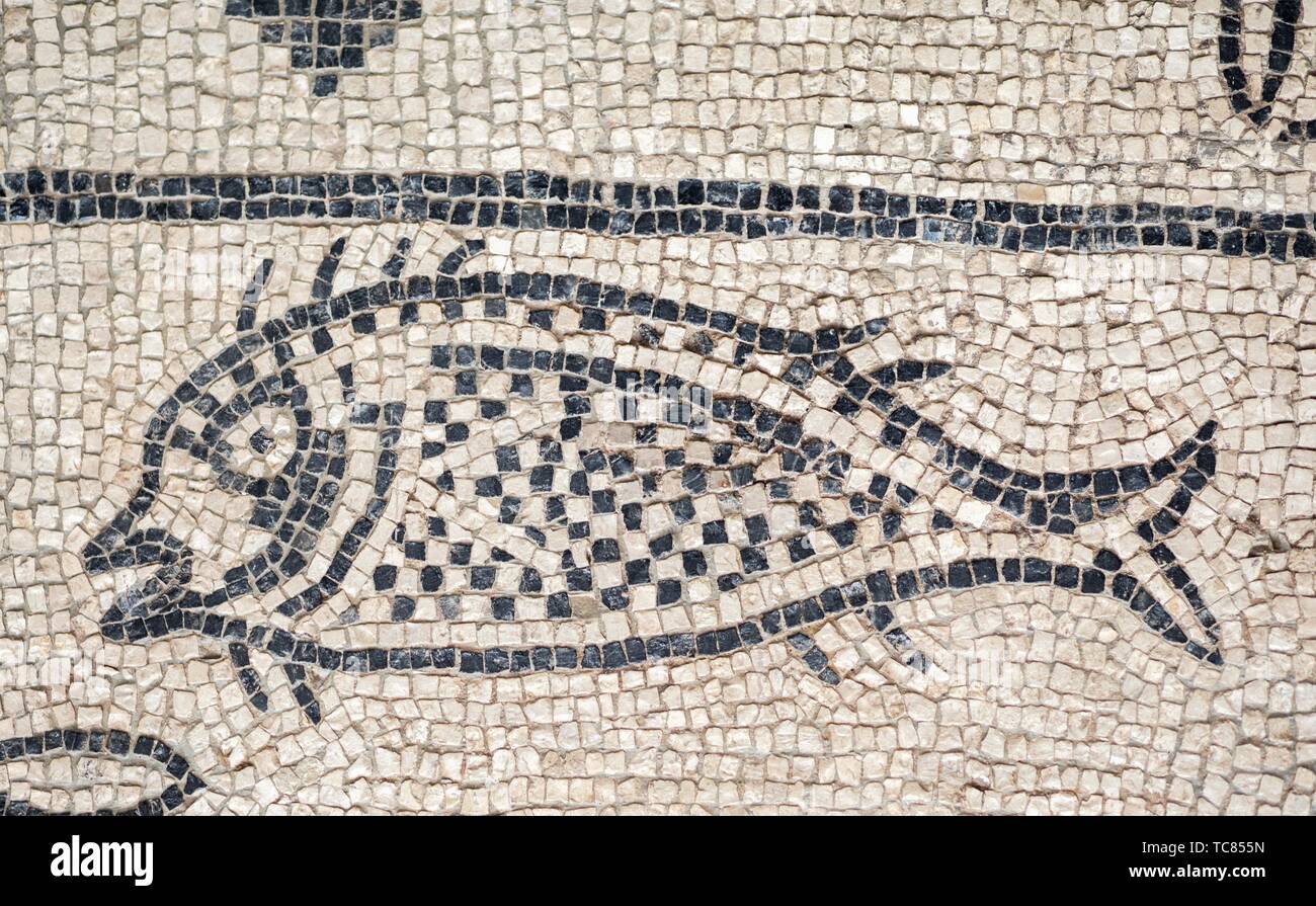 Ancient Fish Pond High Resolution Stock Photography and Images - Alamy