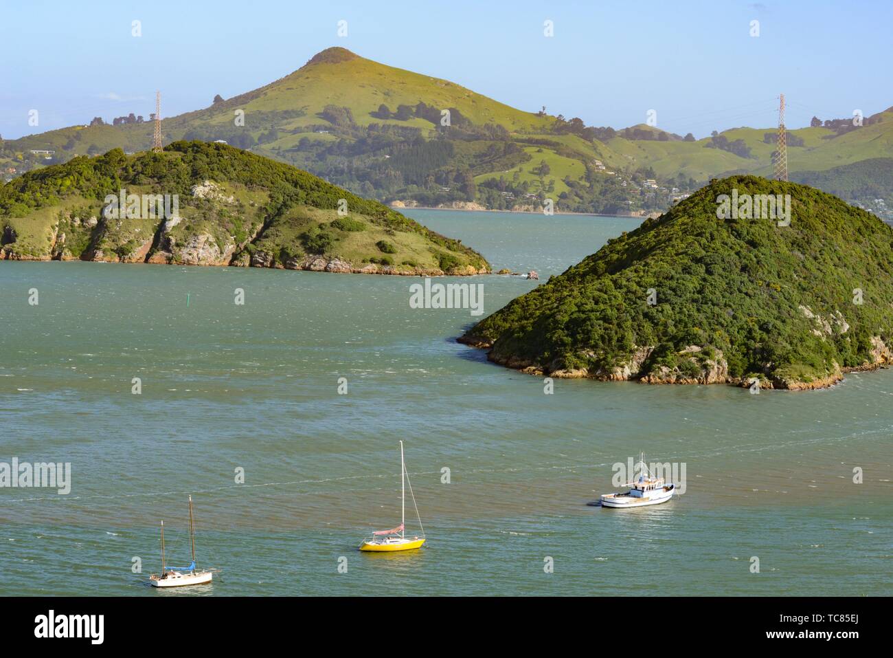 Port Chalmers, New Zealand Stock Photo Alamy