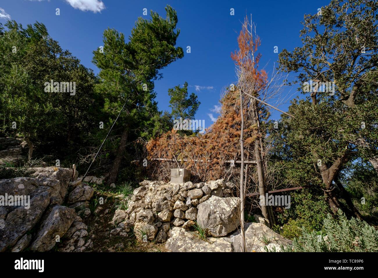 Collado De Caza De Tordos Son Oleza Valldemossa Mallorca Balearic Islands Spain Stock Photo Alamy
