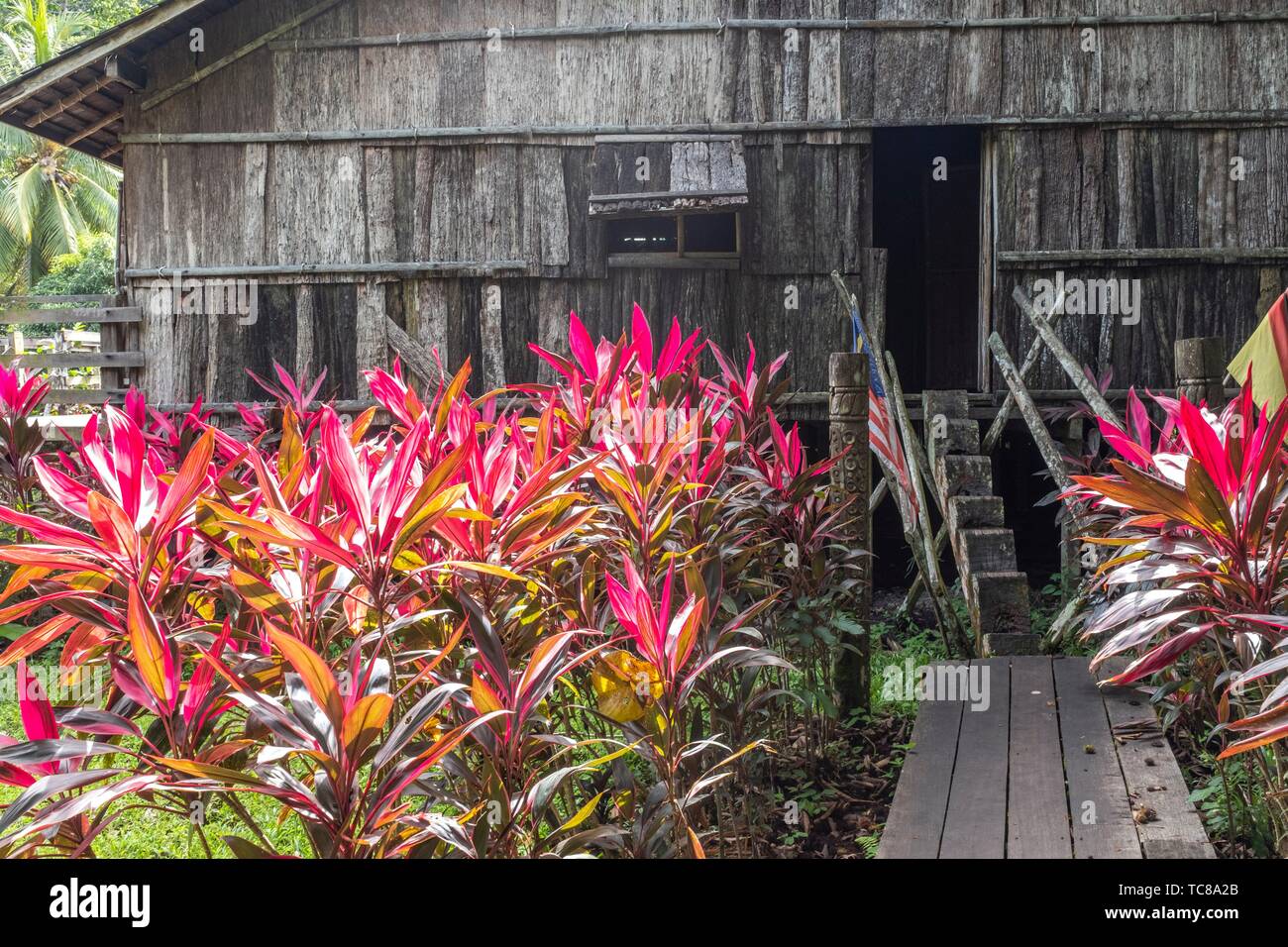 Page 3 - Sarawak Cultural Village House High Resolution Stock 