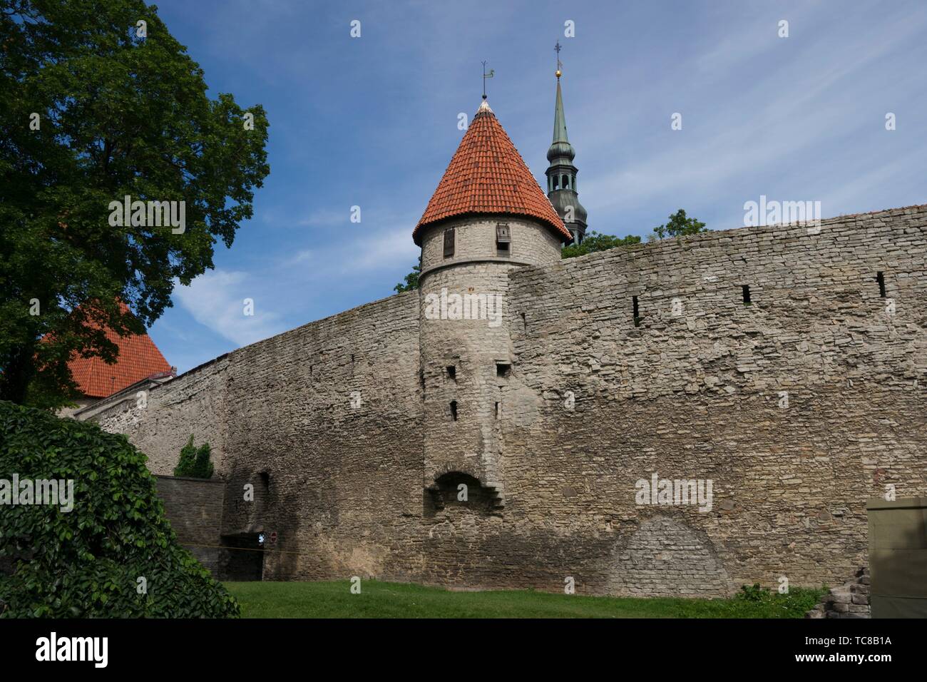 Stable Tower (Tallitorn), Tallinn City Walls(Tallinna linnamüür), Old Town, Tallinn, Estonia, Baltic States. Stock Photo