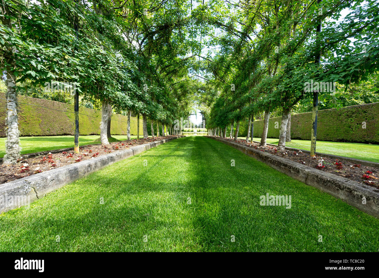 empty green footpath under steel frame in park Stock Photo