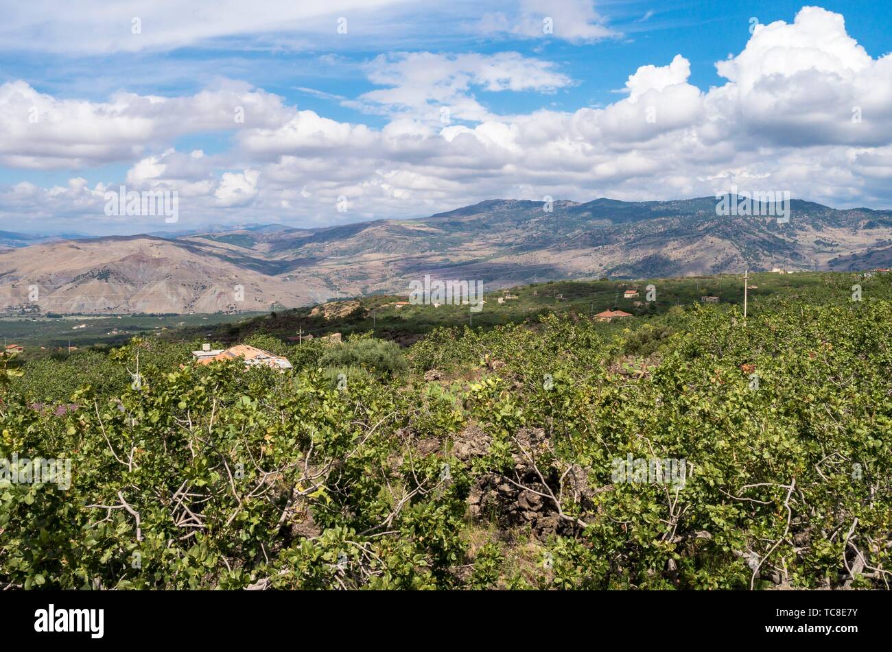 Etna Park, Catania, Sicily, Italy Stock Photo Alamy