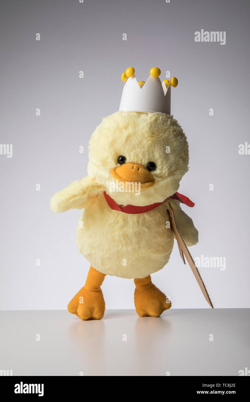 Duck king Stock Photo