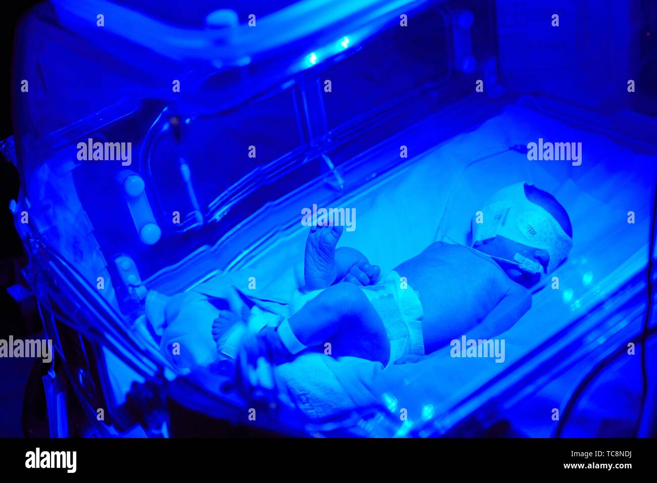 Baby in incubator, Phototherapy, Neonatal pediatrics, Medical care, Neonate Intensive care Unit, UVI, ICU, Hospital Donostia, San Sebastian, Stock Photo