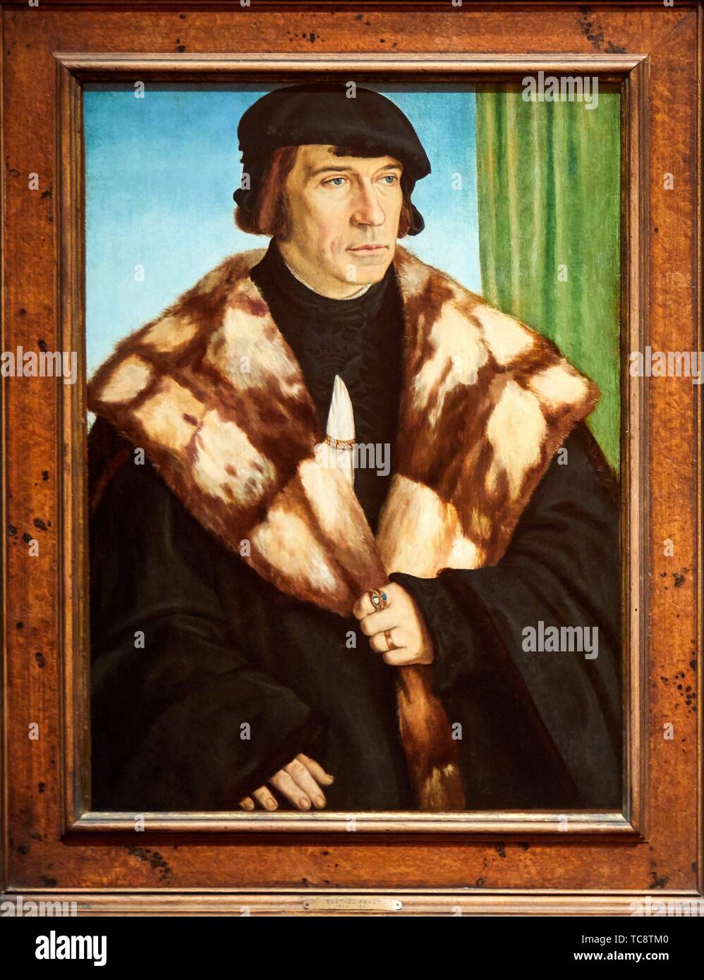 '''Portrait of Ruprecht Stüpf'', 1528, Barthel Beham, Thyssen Bornemisza Museum, Madrid, Spain , Europe Stock Photo