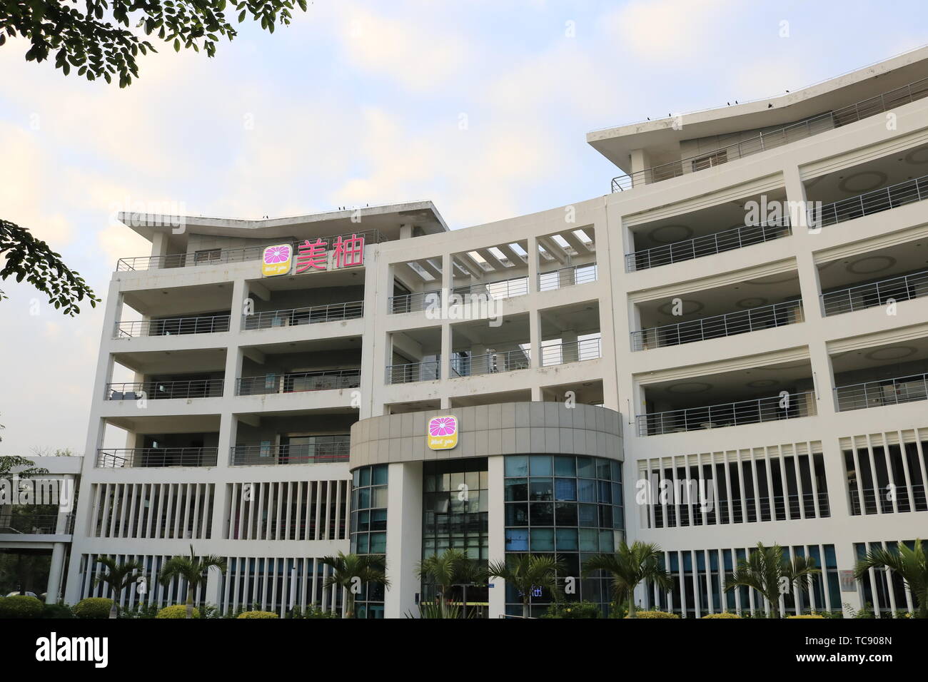 Female pregnancy preparation pregnancy parenting community hires stock