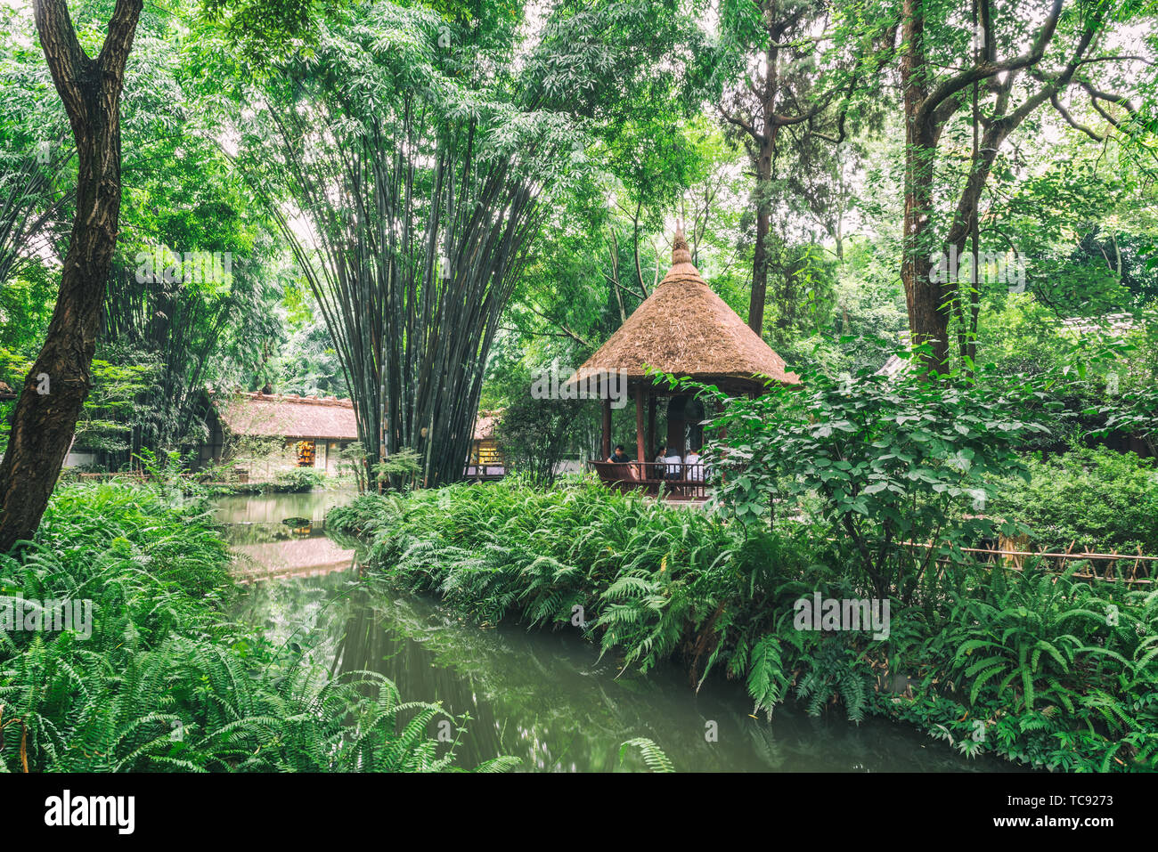 Scenery Of Du Fu Cottage In Chengdu Stock Photo 248520359 Alamy