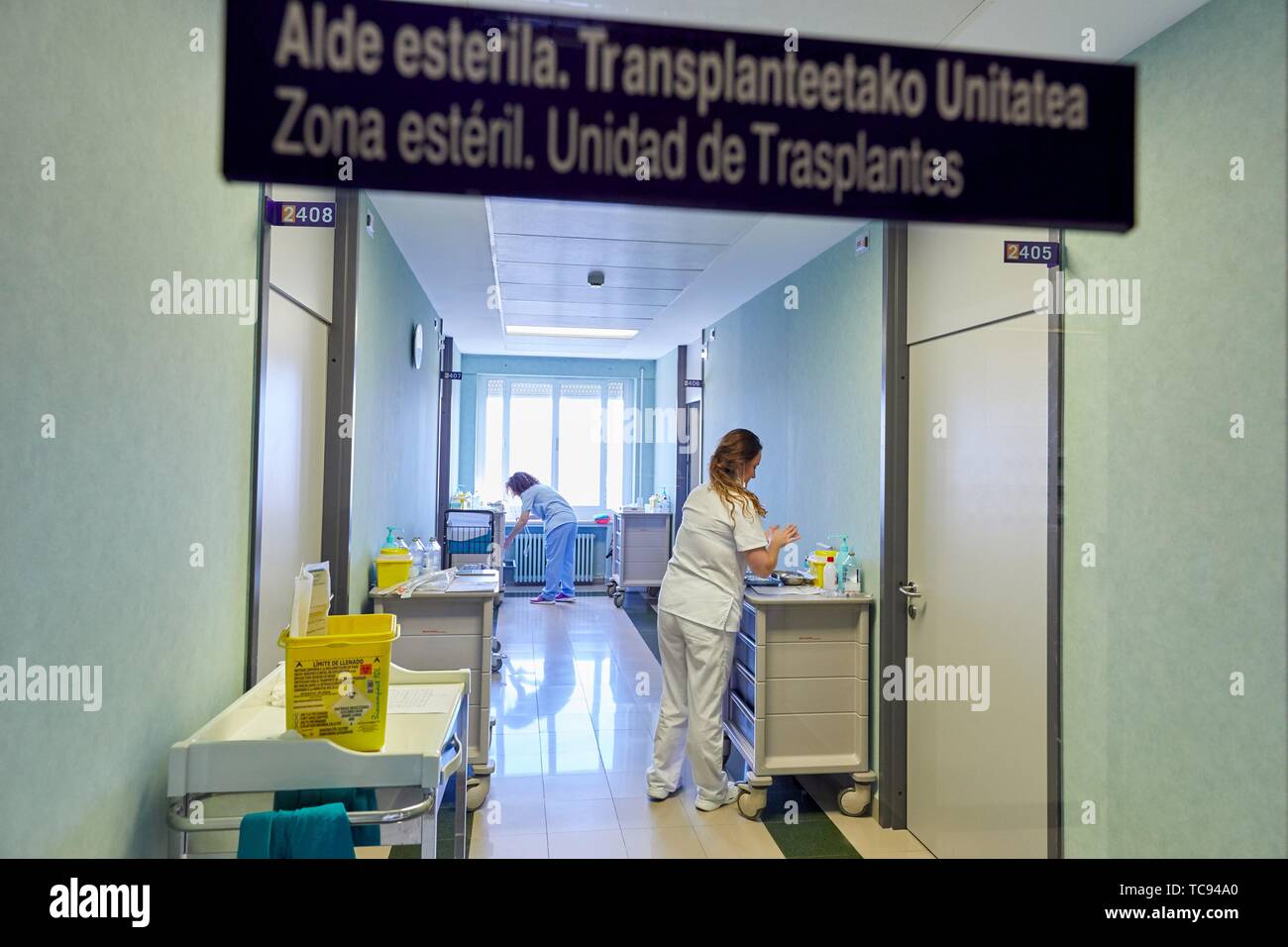 Sterile area, Transplant unit, Hematology, Hospital Donostia, San Sebastian, Gipuzkoa, Basque Country, Spain Stock Photo