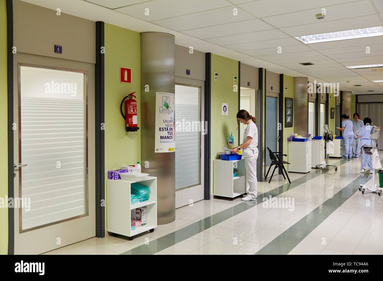 Hematology, Hospital Donostia, San Sebastian, Gipuzkoa, Basque Country, Spain Stock Photo
