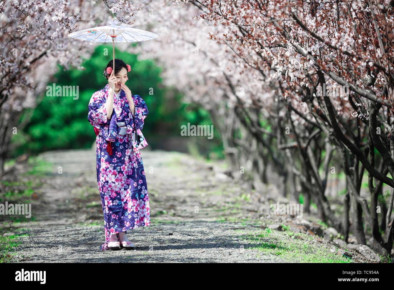 Japanese aesthetic hi-res stock photography and images - Alamy