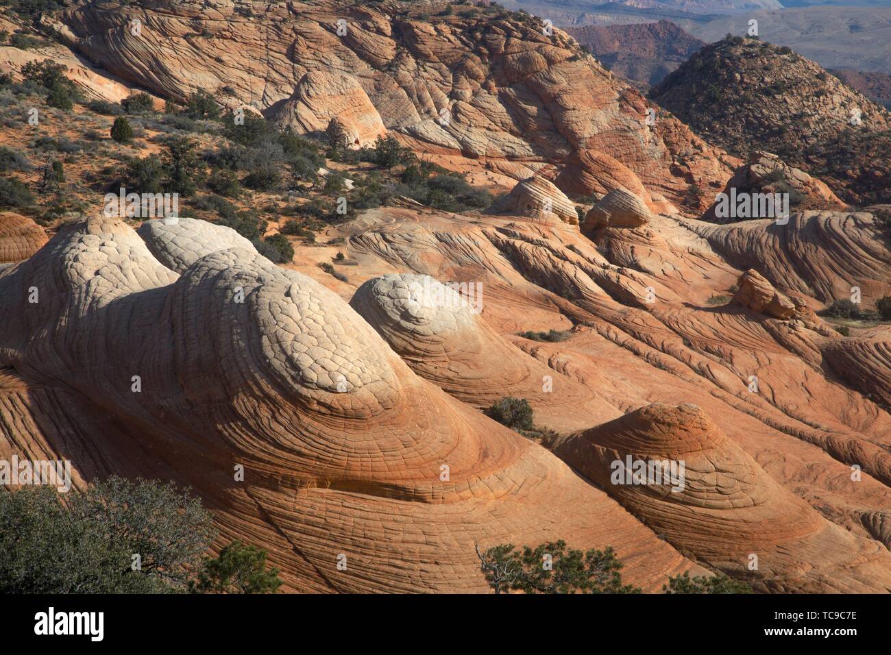 Erosion and volcanic upheavel have produced an unusual landscape at