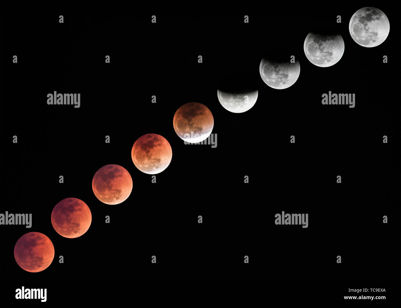 A total lunar eclipse. Photographed on the Bund of Shanghai on January 31,  2018. This is the process of a total lunar eclipse from the red moon to the  reunion Stock Photo - Alamy