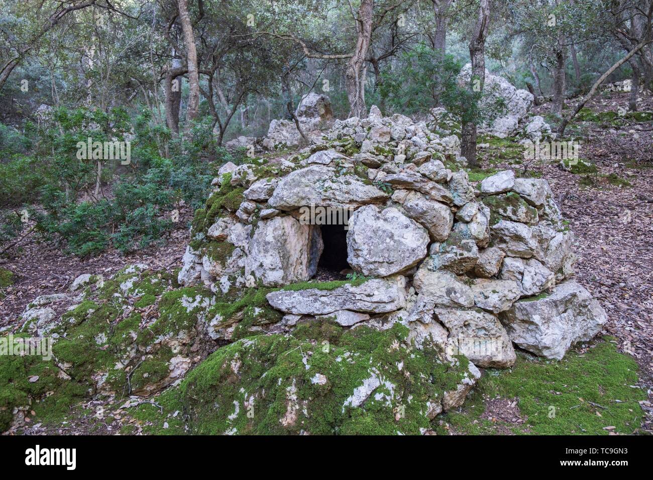 horno de piedra en un antiguo rancho carbonero, sâ.Alqueria dâ.Avall,  termino municipal de Bunyola, Mallorca, balearic islands, Spain Stock Photo  - Alamy