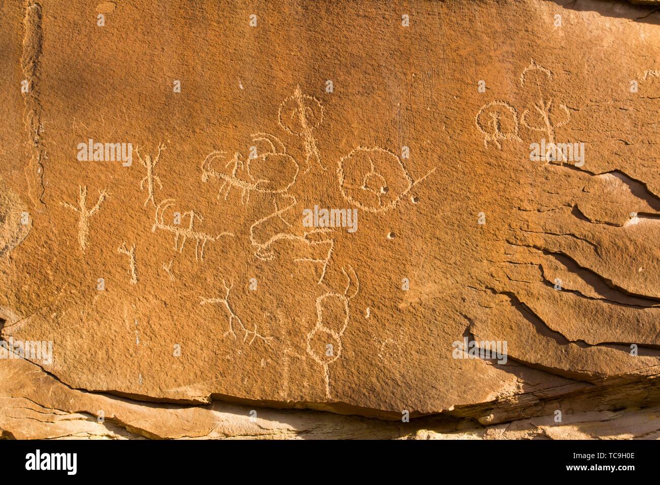 Sand Island Petroglyph Panel, Near Bluff, Utah, USA Stock Photo