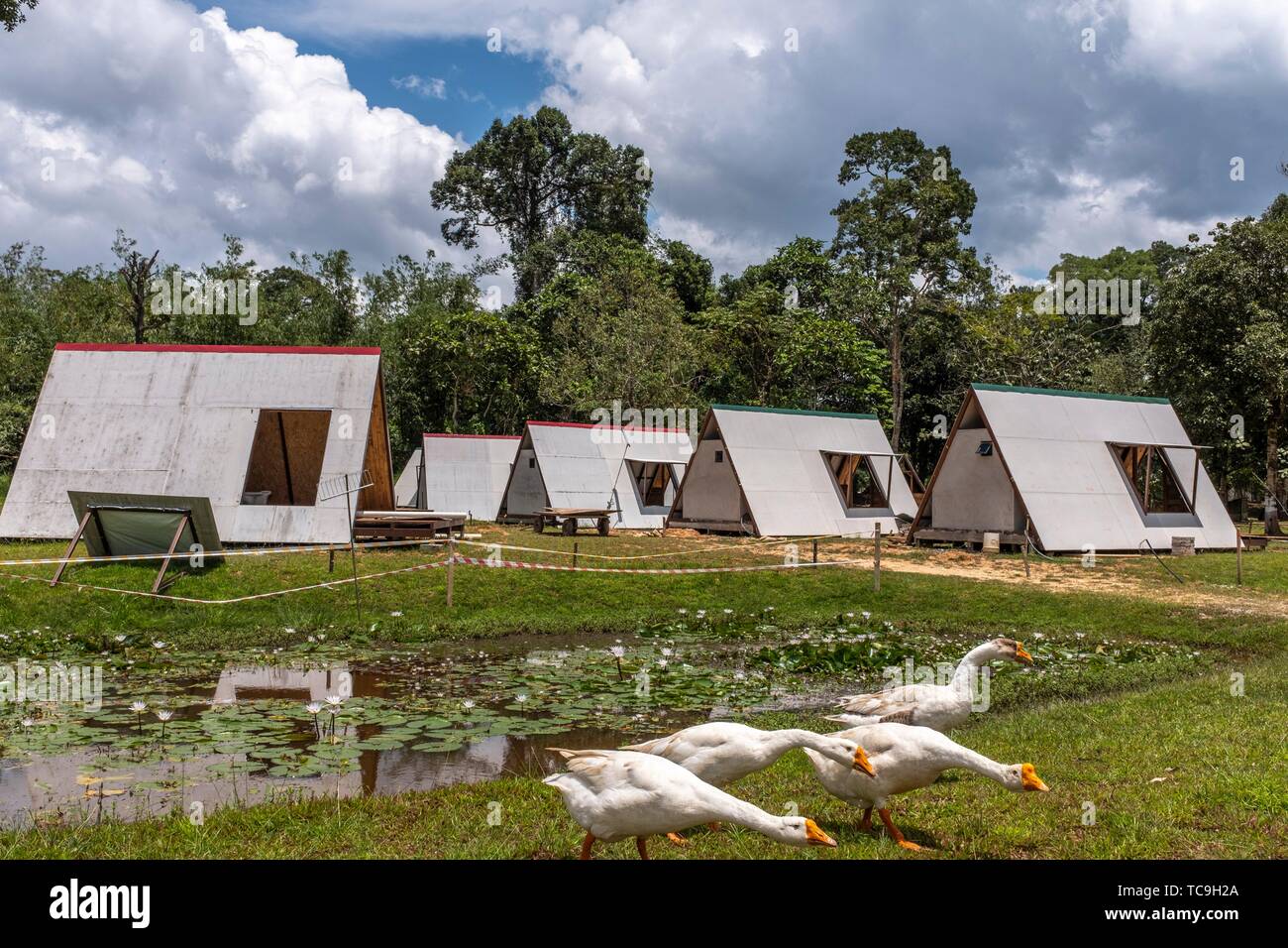 Sumiran Eco Camp A Multicultural Rainforest Mix Eco Farm Camp For All Ages Located In The Kuching City Batu Kawa Rantau Panjang Sarawak Malaysia Stock Photo Alamy