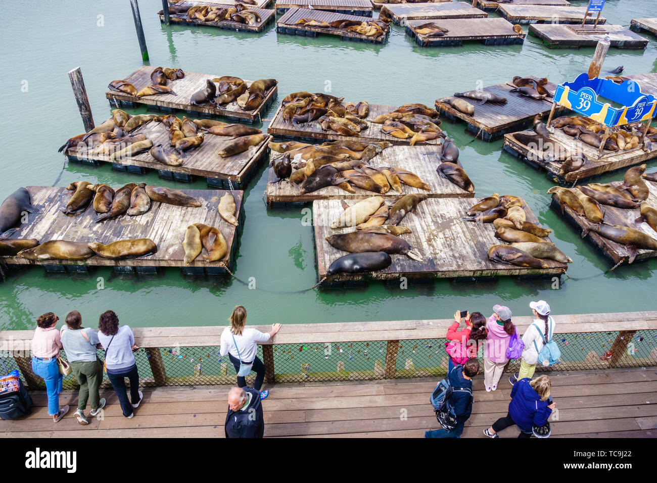 Lots Of Fishnet Laying On Pier, Boats Stock Photo, Picture and