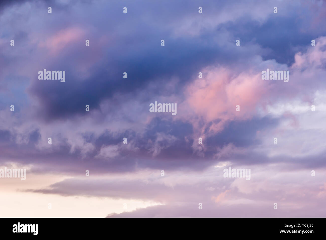 Sky with cumulus clouds at sunset or dawn. Clouds as background Stock ...