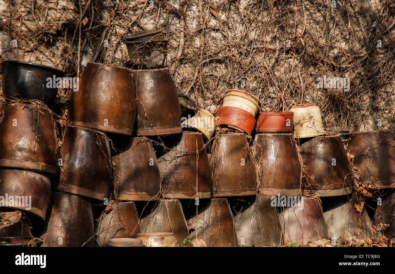 Flower vat by the wall Stock Photo Alamy
