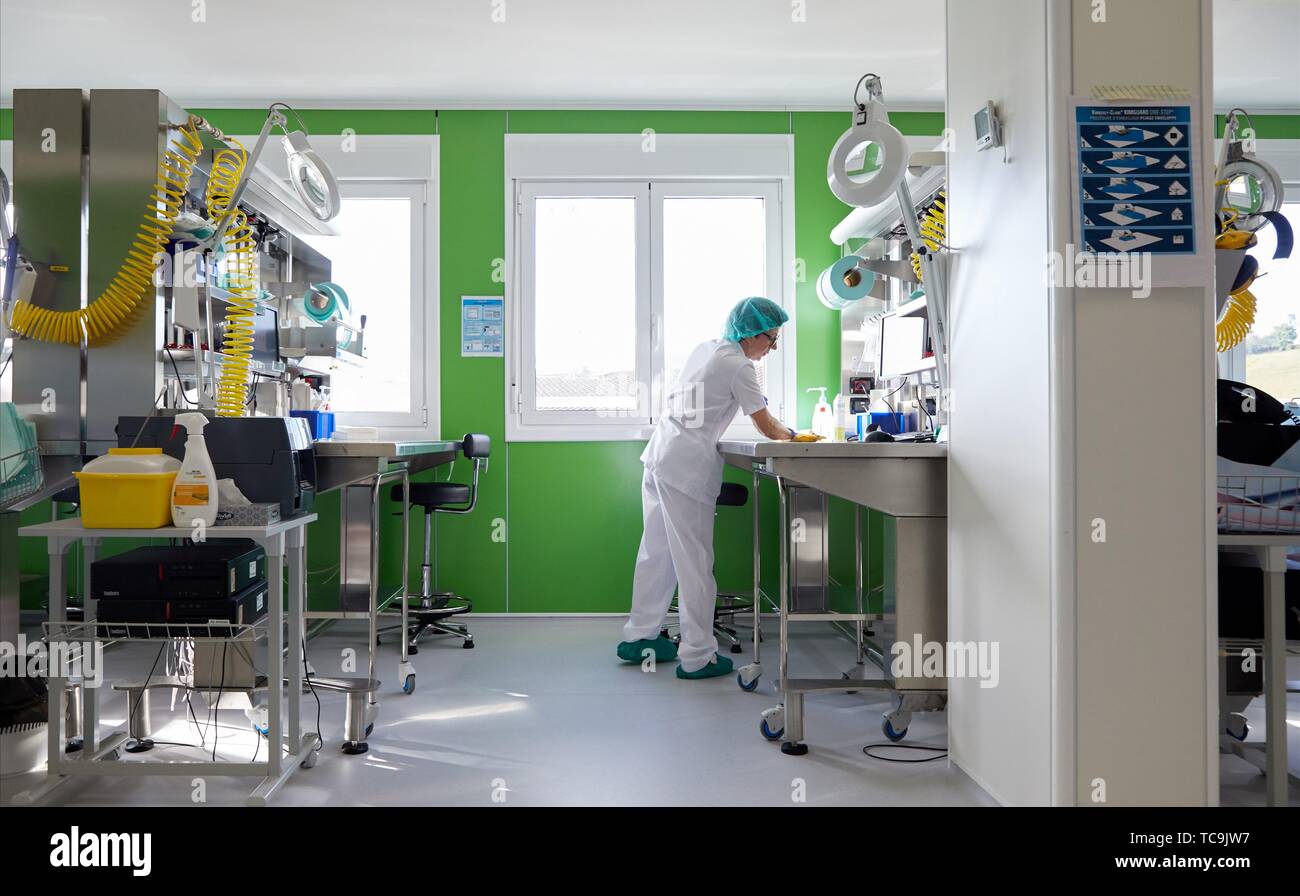 Cleaning woman, cleaner, Sterilization, Autoclave Cleaning, Hospital Donostia, San Sebastian