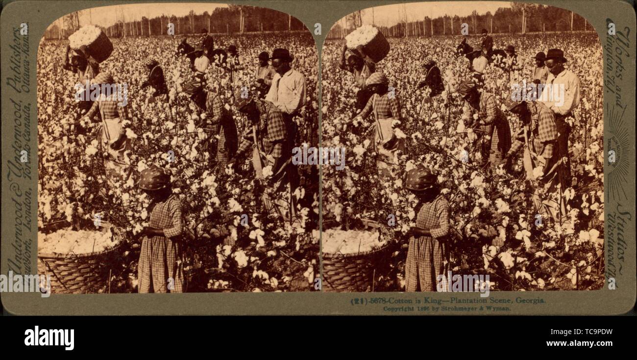 Cotton is king A plantation scene, Underwood & Underwood