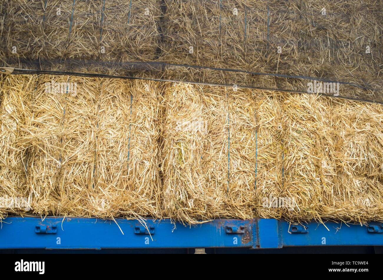 Heavy trailer truck loaded with straw bales. Closeup. Stock Photo