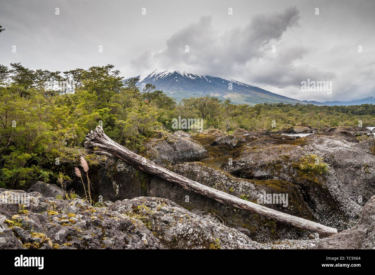 The Petrohue Falls and Osorno Volcano with its snow peak in Puerto