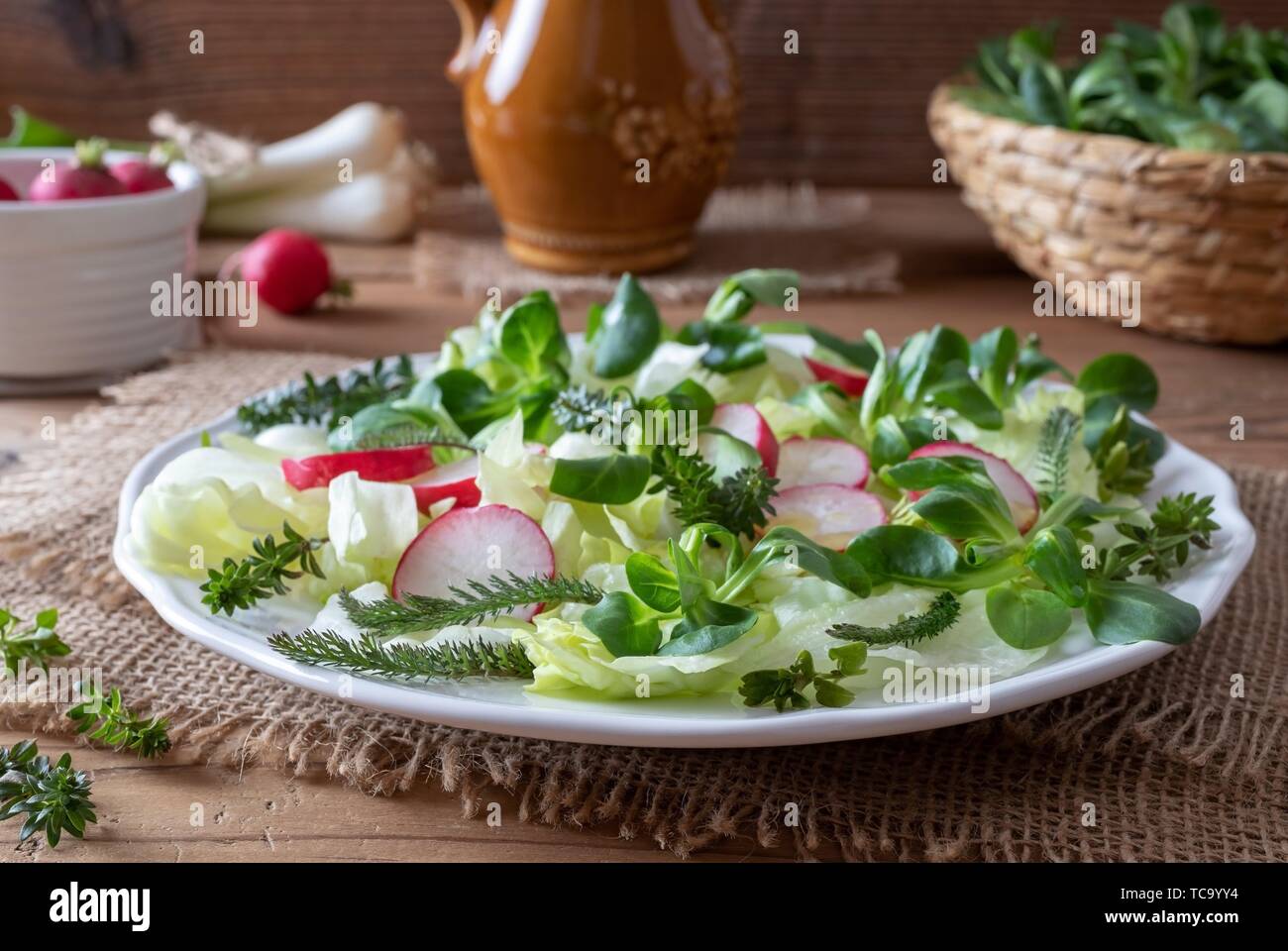 Spring salad with wild edible plants - chickweed, bedstraw and young yarrow leaves. Stock Photo