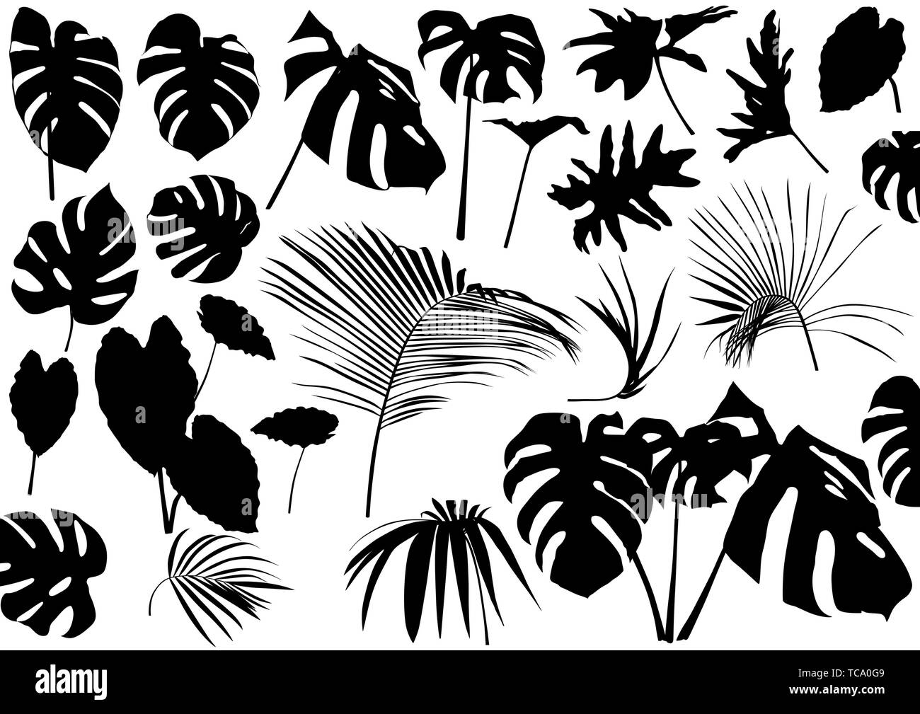 Silhouetted Tropical Leaves Set Stock Vector Image & Art - Alamy