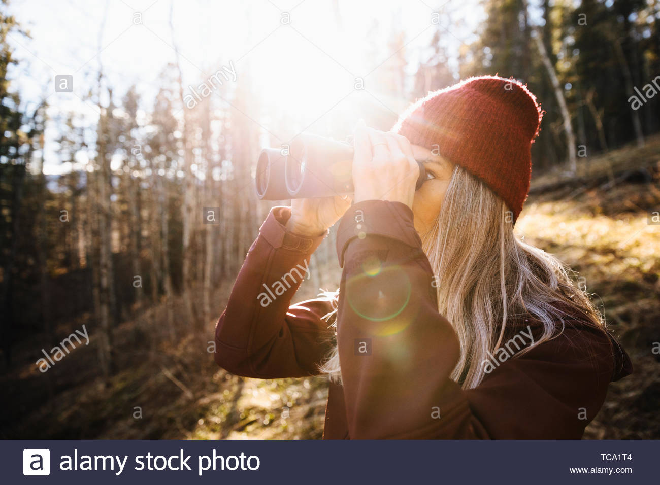 Woman with binoculars hiking, bird watching in sunny woods Stock Photo