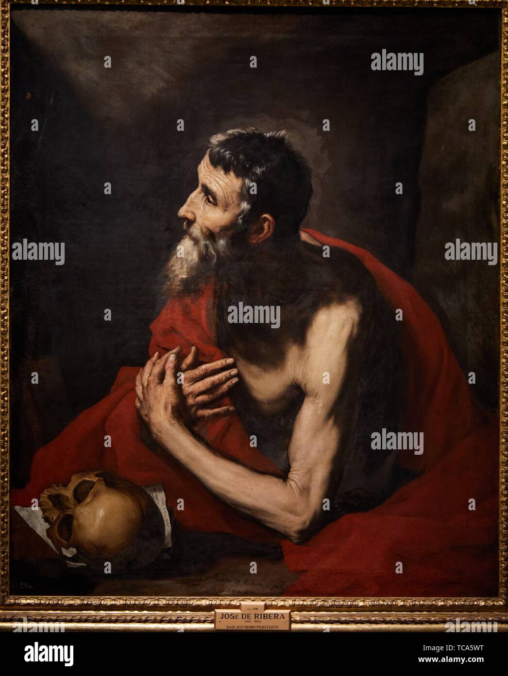 '''Saint Jerome'', 1644, José de Ribera (Jusepe de Ribera, Lo Spagnoletto), Prado Museum, Madrid, Spain, Europe Stock Photo