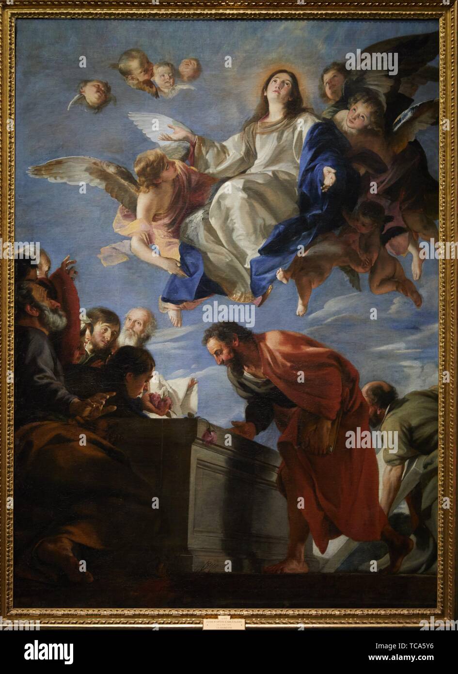 Assumption of the virgin hi-res stock photography and images - Alamy