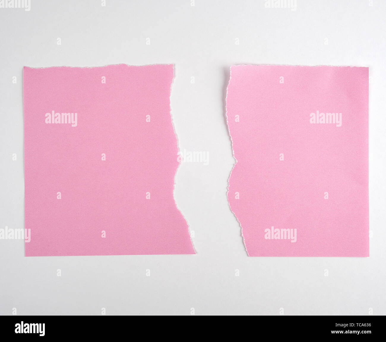 torn in half empty pink sheet of paper on white background, close up Stock Photo