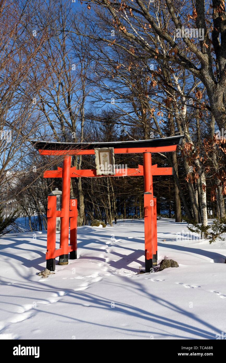 Torii near Mashu lake in Hokkaido. Torii is a traditional japanese gate ...